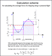 ornithopter design calculation pdf