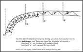 Scheme of the wing path line of a bird leaking out