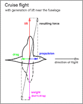 cruising flight with generation of lift close to the fuselage