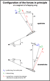 Forces at a segment of a flapping wing 