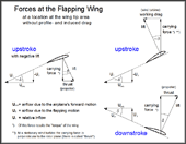 forces at a location of a flapping wing in the downstroke and upstroke