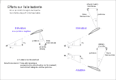 Efforts sur l'aile battante 