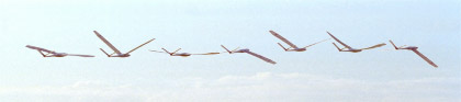 Bilderserie eines fliegenden Ornithopters