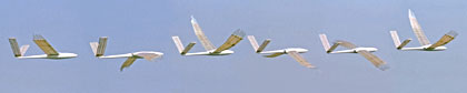 einige Flugbilder vom Schlagzyklus eines Ornithopters