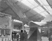 ornithopter with staggered wing tips