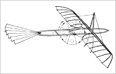 Model met een oscillerende vleugel