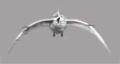 Pterosaur during wing upstroke