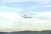EV8 in gliding flight