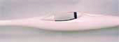 side view of the fuselage