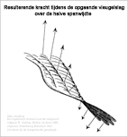 Krachten bij de opgaande slag van de vleugel